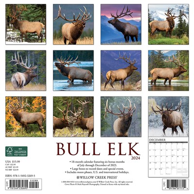 2024 Willow Creek Bull Elk 12 x 12 Monthly Wall Calendar, Multicolor (32695)