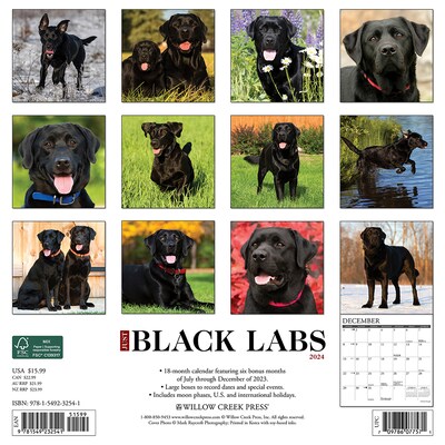 2024 Willow Creek Just Black Labs 12 x 12 Monthly Wall Calendar, Multicolor (32541)
