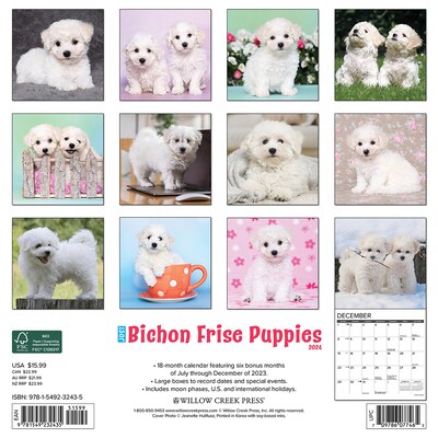 2024 Willow Creek Just Bichon Frise Puppies 12 x 12 Monthly Wall Calendar, Multicolor (32435)