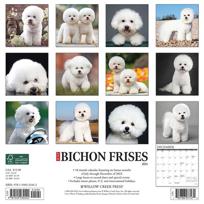 2024 Willow Creek Just Bichons Frises 12" x 12" Monthly Wall Calendar, Multicolor (32442)
