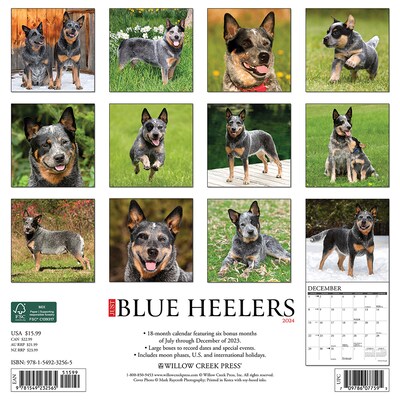 2024 Willow Creek Just Blue Heelers 12 x 12 Monthly Wall Calendar, Multicolor (32565)