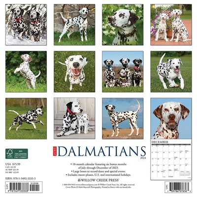 2024 Willow Creek Just Dalmatians 12 x 12 Monthly Wall Calendar, Multicolor (33333)