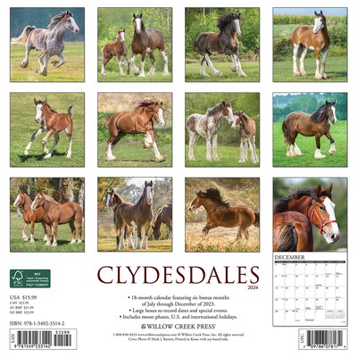 2024 Willow Creek Clydesdales 12" x 12" Monthly Wall Calendar, Multicolor (33142)