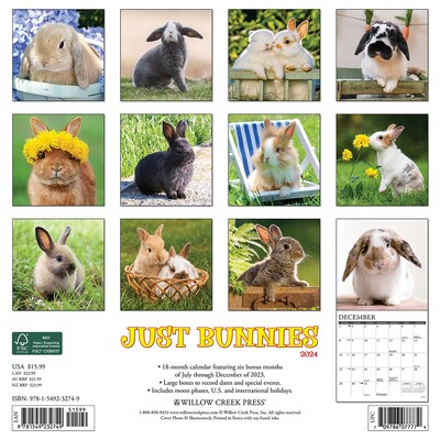 2024 Willow Creek Just Bunnies 12 x 12 Monthly Wall Calendar, Multicolor (32749)