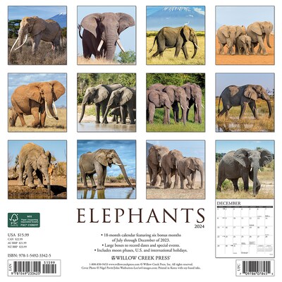 2024 Willow Creek Elephants 12 x 12 Monthly Wall Calendar, Multicolor (33425)