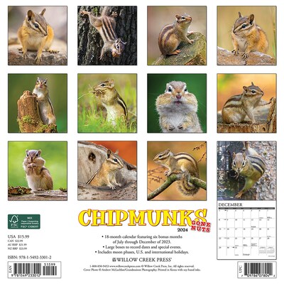2024 Willow Creek Chipmunks (Gone Nuts!) 12" x 12" Monthly Wall Calendar, Multicolor (33012)
