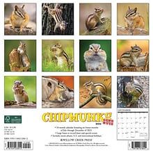 2024 Willow Creek Chipmunks (Gone Nuts!) 12 x 12 Monthly Wall Calendar, Multicolor (33012)