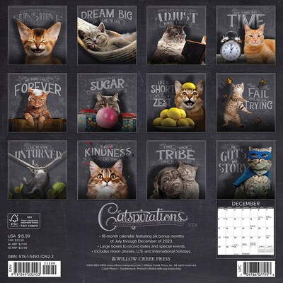 2024 Willow Creek Catspirations 12 x 12 Monthly Wall Calendar, Multicolor (32923)