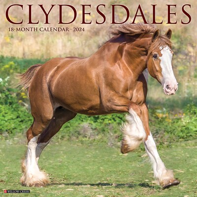 2024 Willow Creek Clydesdales 12 x 12 Monthly Wall Calendar, Multicolor (33142)