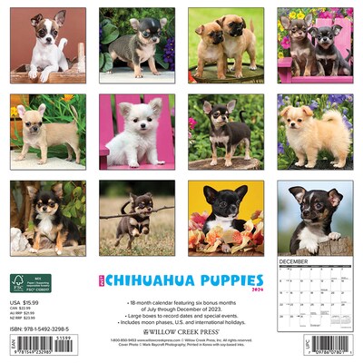 2024 Willow Creek Press Just Chihuahua Puppies 2024 Wall Calendar 12" x 12"  (32985) | Quill.com