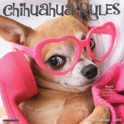 2024 Willow Creek Chihuahua Rules 12 x 12 Monthly Wall Calendar, Multicolor (32992)
