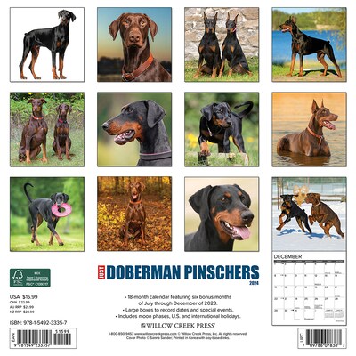 2024 Willow Creek Just Dobermans 12 x 12 Monthly Wall Calendar, Multicolor (33357)