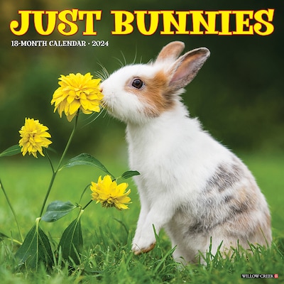 2024 Willow Creek Just Bunnies 12 x 12 Monthly Wall Calendar, Multicolor (32749)