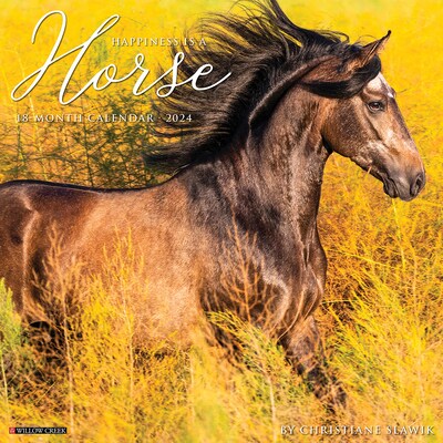 2024 Willow Creek Happiness is a Horse 12 x 12 Monthly Wall Calendar, Multicolor (33852)