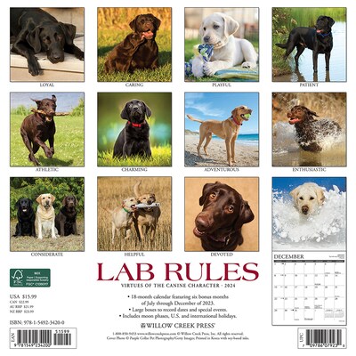 2024 Willow Creek Lab Rules 12" x 12" Monthly Wall Calendar, Multicolor (34200)