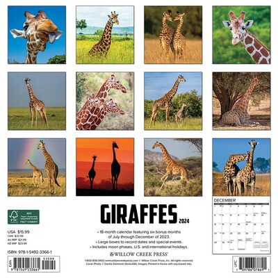 2024 Willow Creek Giraffes 12 x 12 Monthly Wall Calendar, Multicolor (33661)