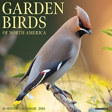 2024 Willow Creek Garden Birds 12 x 12 Monthly Wall Calendar, Multicolor (33586)