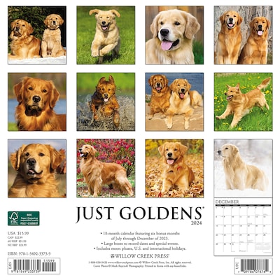 2024 Willow Creek Just Goldens 12" x 12" Monthly Wall Calendar, Multicolor (33739)