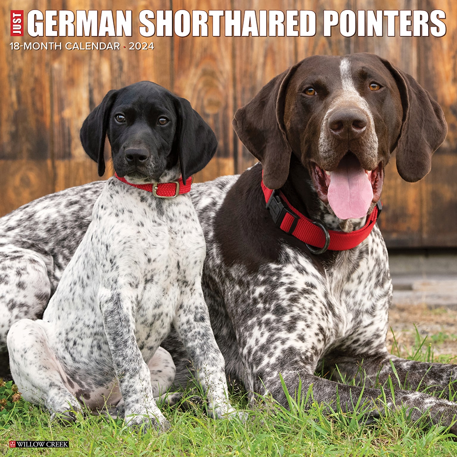 2024 Willow Creek Press Just German Shorthaired Pointers 2024 Wall Calendar 12 x 12 (33630)