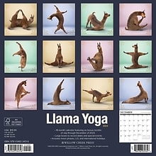 2024 Willow Creek Llama Yoga 12 x 12 Monthly Wall Calendar, Multicolor (34316)