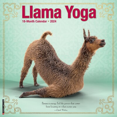 2024 Willow Creek Llama Yoga 12 x 12 Monthly Wall Calendar, Multicolor (34316)