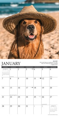 2024 Willow Creek Golden Rules 12" x 12" Monthly Wall Calendar, Multicolor (33708)