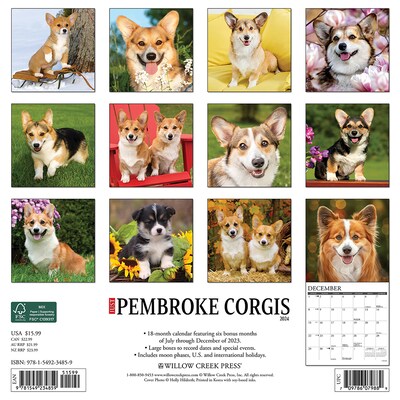 2024 Willow Creek Just Pembroke Corgis 12 x 12 Monthly Wall Calendar, Multicolor (34859)