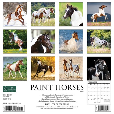 2024 Willow Creek Press Paint Horses 2024 Wall Calendar 12" x 12" (34798)