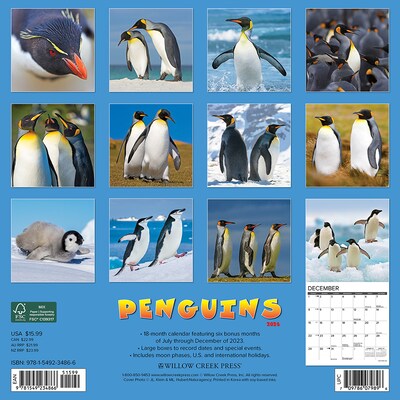 2024 Willow Creek Press Penguins 2024 Wall Calendar 12 x 12 (34866)