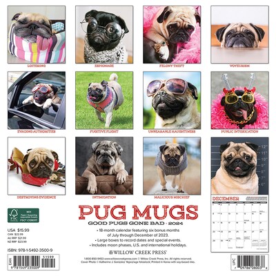 2024 Willow Creek Pug Mugs 12 x 12 Monthly Wall Calendar, Multicolor (35009)