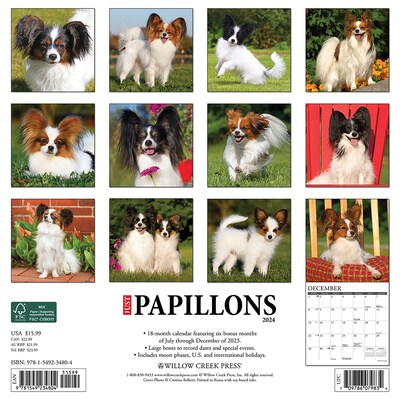 2024 Willow Creek Just Papillons 12 x 12 Monthly Wall Calendar, Multicolor (34804)
