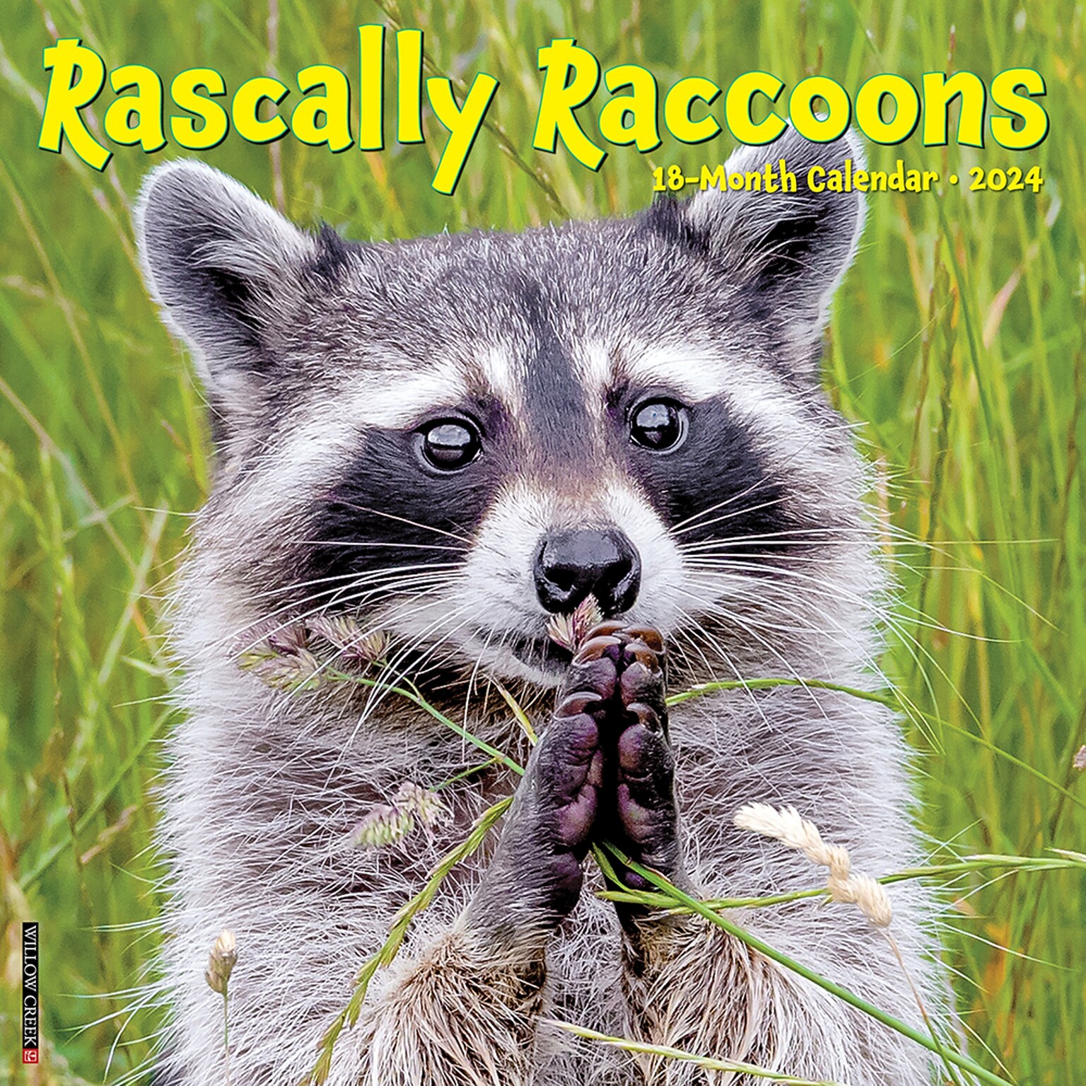 2024 Willow Creek Rascally Raccoons 12 x 12 Monthly Wall Calendar, Multicolor (35092)