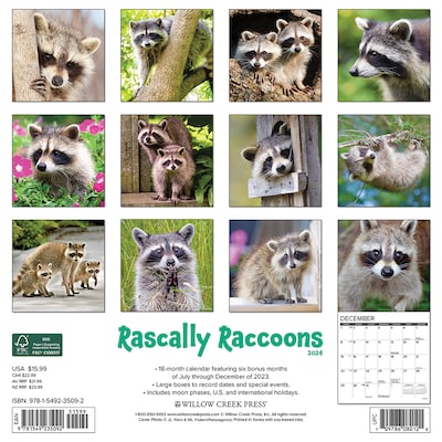 2024 Willow Creek Rascally Raccoons 12" x 12" Monthly Wall Calendar, Multicolor (35092)