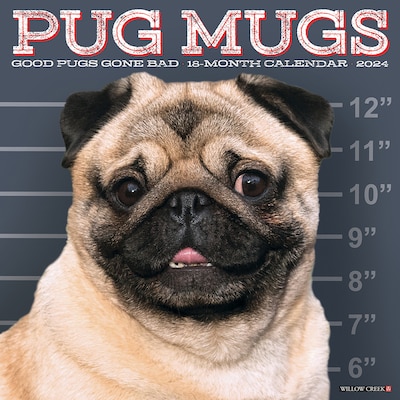 2024 Willow Creek Pug Mugs 12 x 12 Monthly Wall Calendar, Multicolor (35009)
