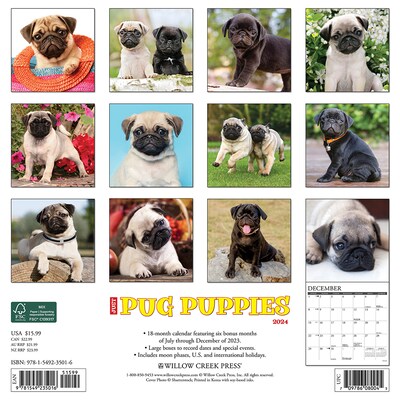 2024 Willow Creek Press Just Pug Puppies 2024 Wall Calendar 12" x 12" (35016)