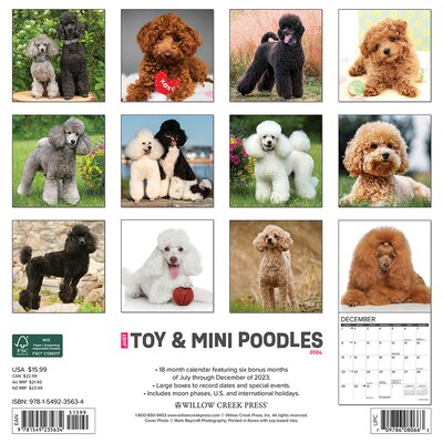 2024 Willow Creek Just Toy and Miniature Poodles 12 x 12 Monthly Wall Calendar, Multicolor (35634)