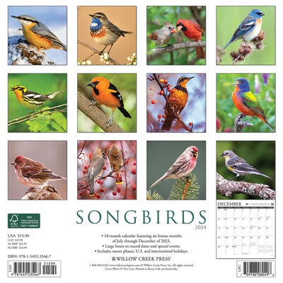 2024 Willow Creek Songbirds 12 x 12 Monthly Wall Calendar, Multicolor (35467)