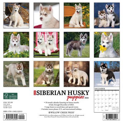 2024 Willow Creek Just Siberian Husky Puppies 12 x 12 Monthly Wall Calendar, Multicolor (35399)