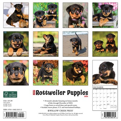2024 Willow Creek Press Just Rottweiler Puppies 2024 Wall Calendar 12 x 12 (35153)