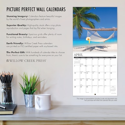 2024 Willow Creek Just Shih Tzus 12" x 12" Monthly Wall Calendar, Multicolor (35368)