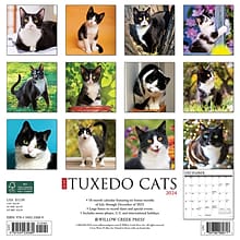2024 Willow Creek Just Tuxedo Cats 12 x 12 Monthly Wall Calendar, Multicolor (35689)