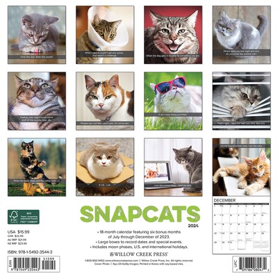 2024 Willow Creek Snapcats 12 x 12 Monthly Wall Calendar, Multicolor (35443)