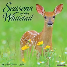 2024 Willow Creek Seasons of the Whitetail Deer 12 x 12 Monthly Wall Calendar, Multicolor (35283)