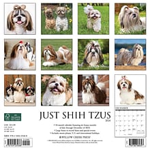 2024 Willow Creek Just Shih Tzus 12 x 12 Monthly Wall Calendar, Multicolor (35368)
