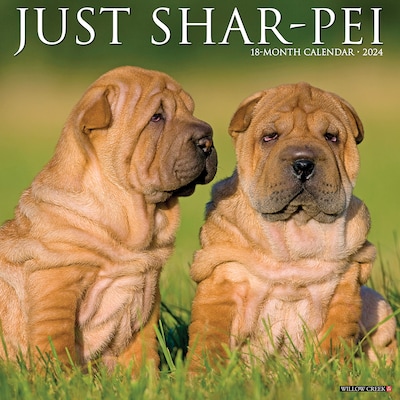 2024 Willow Creek Just Shar-Peis 12 x 12 Monthly Wall Calendar, Multicolor (35290)