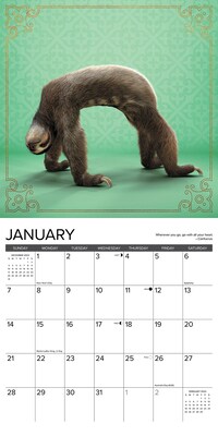 2024 Willow Creek Sloth Yoga 12" x 12" Monthly Wall Calendar, Multicolor (35429)