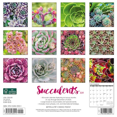 2024 Willow Creek Succulents 12 x 12 Monthly Wall Calendar, Multicolor (35511)