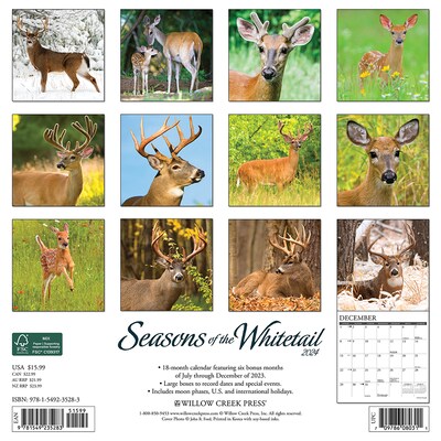 2024 Willow Creek Seasons of the Whitetail Deer 12 x 12 Monthly Wall Calendar, Multicolor (35283)