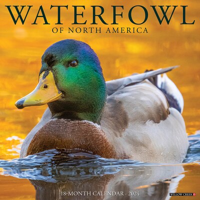 2024 Willow Creek Waterfowl 12 x 12 Monthly Wall Calendar, Multicolor (35795)