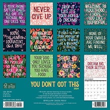 2024 Willow Creek You Dont Got This 12 x 12 Monthly Wall Calendar, Multicolor (36068)